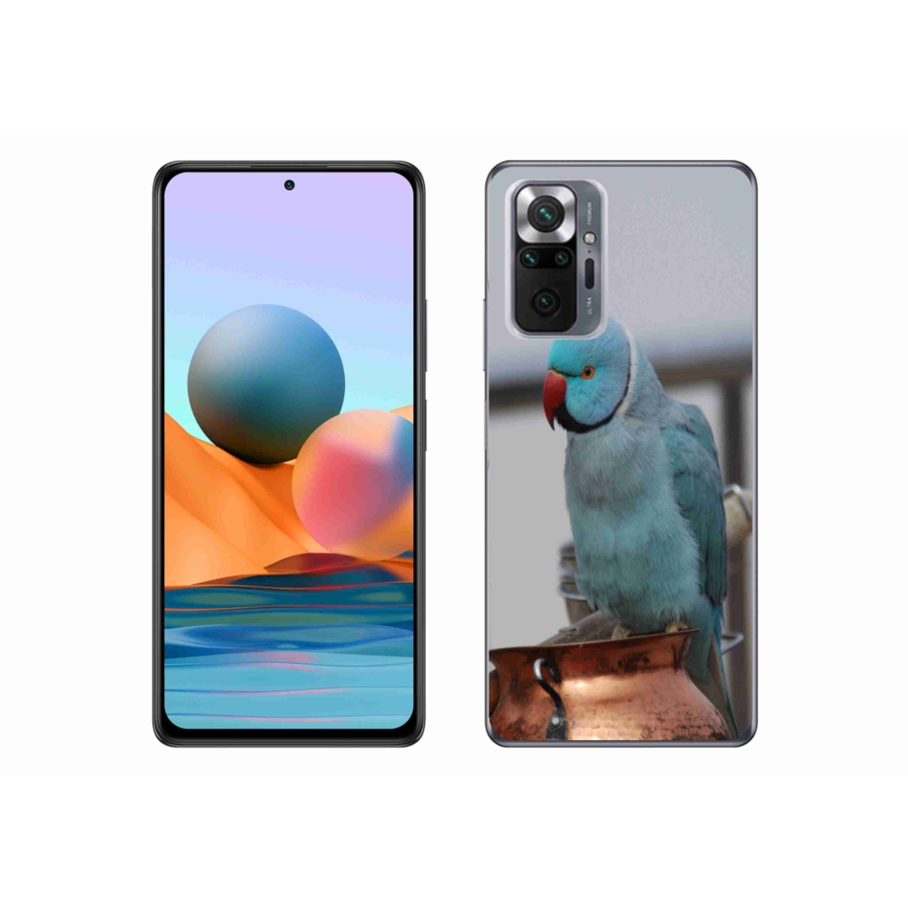 Gél borítás mmCase a Xiaomi Redmi Note 10 Pro készülékhez - papagáj alexander kék