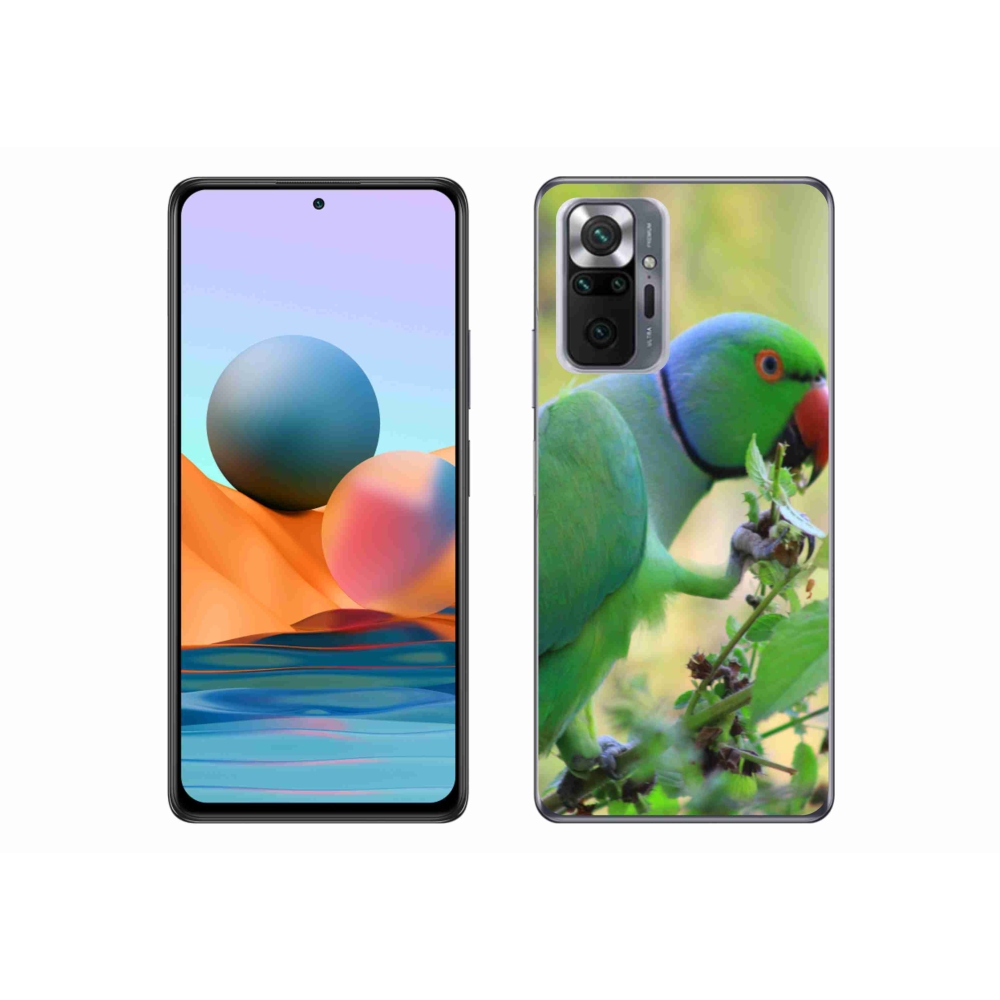 Gél borítás mmCase a Xiaomi Redmi Note 10 Pro készülékhez - papagáj alexandr