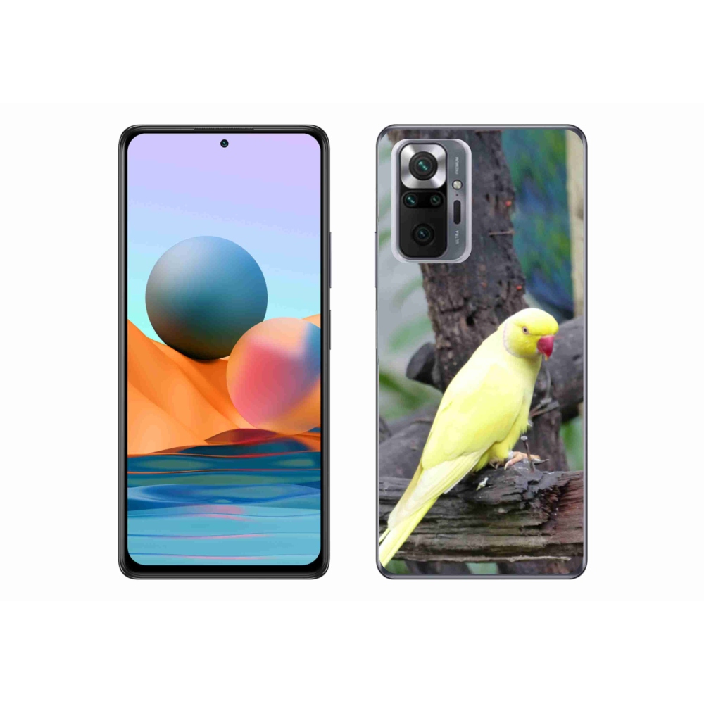 Gél borítás mmCase a Xiaomi Redmi Note 10 Pro készülékhez - papagáj alexander sárga