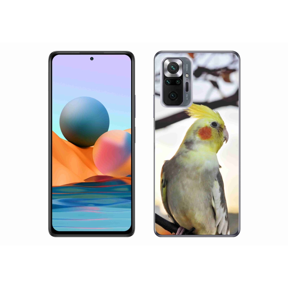 Gél borítás mmCase a Xiaomi Redmi Note 10 Pro készülékhez - papagáj korela