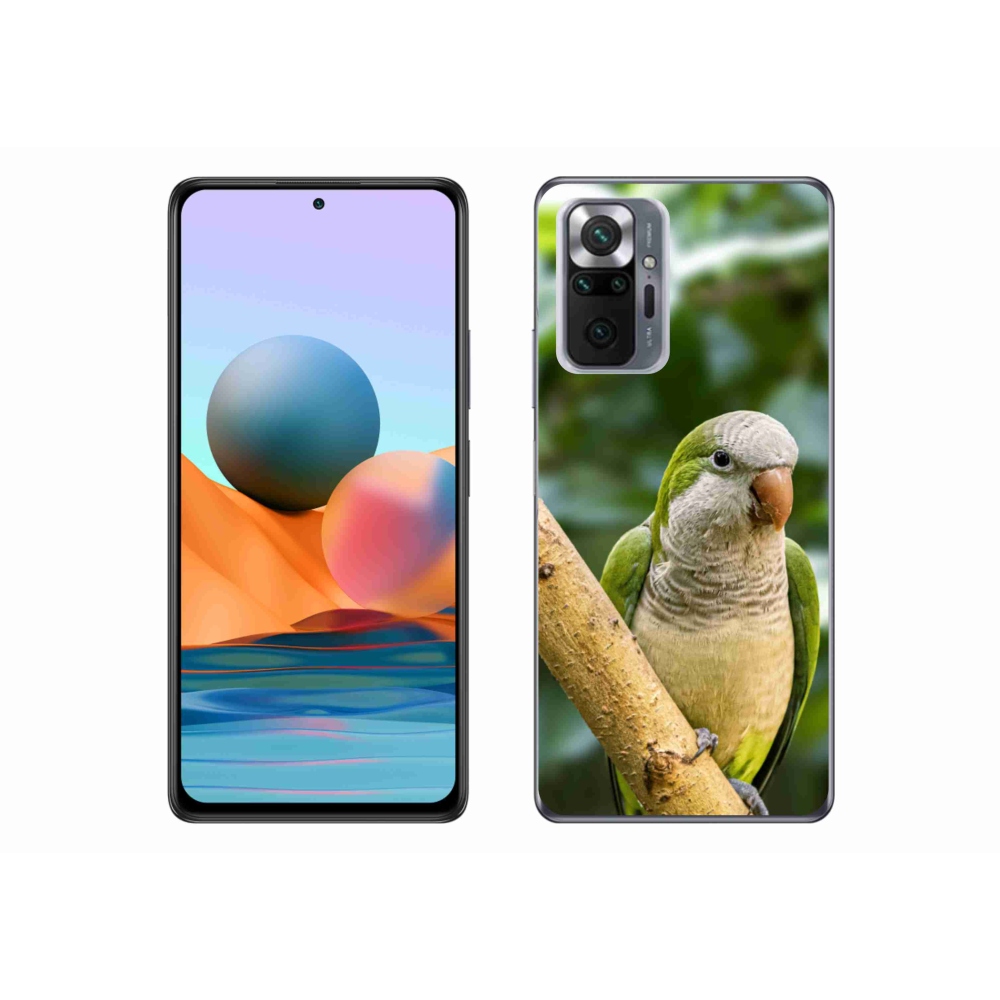 Gél borítás mmCase a Xiaomi Redmi Note 10 Pro készülékhez - papagáj