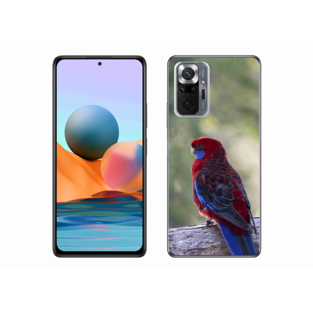 Gél borítás mmCase a Xiaomi Redmi Note 10 Pro készülékhez - papagáj rózsa
