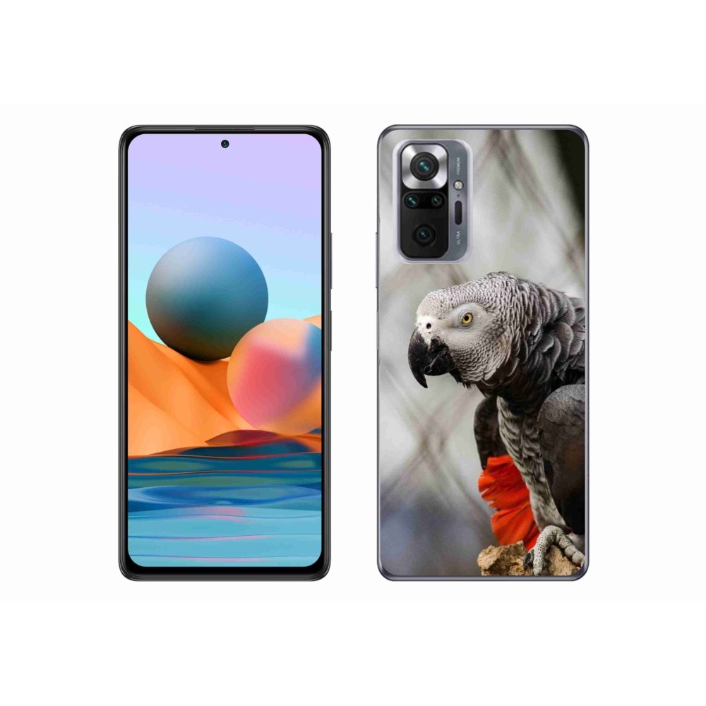 Gél borítás mmCase a Xiaomi Redmi Note 10 Pro készülékhez - papagáj jacko 3