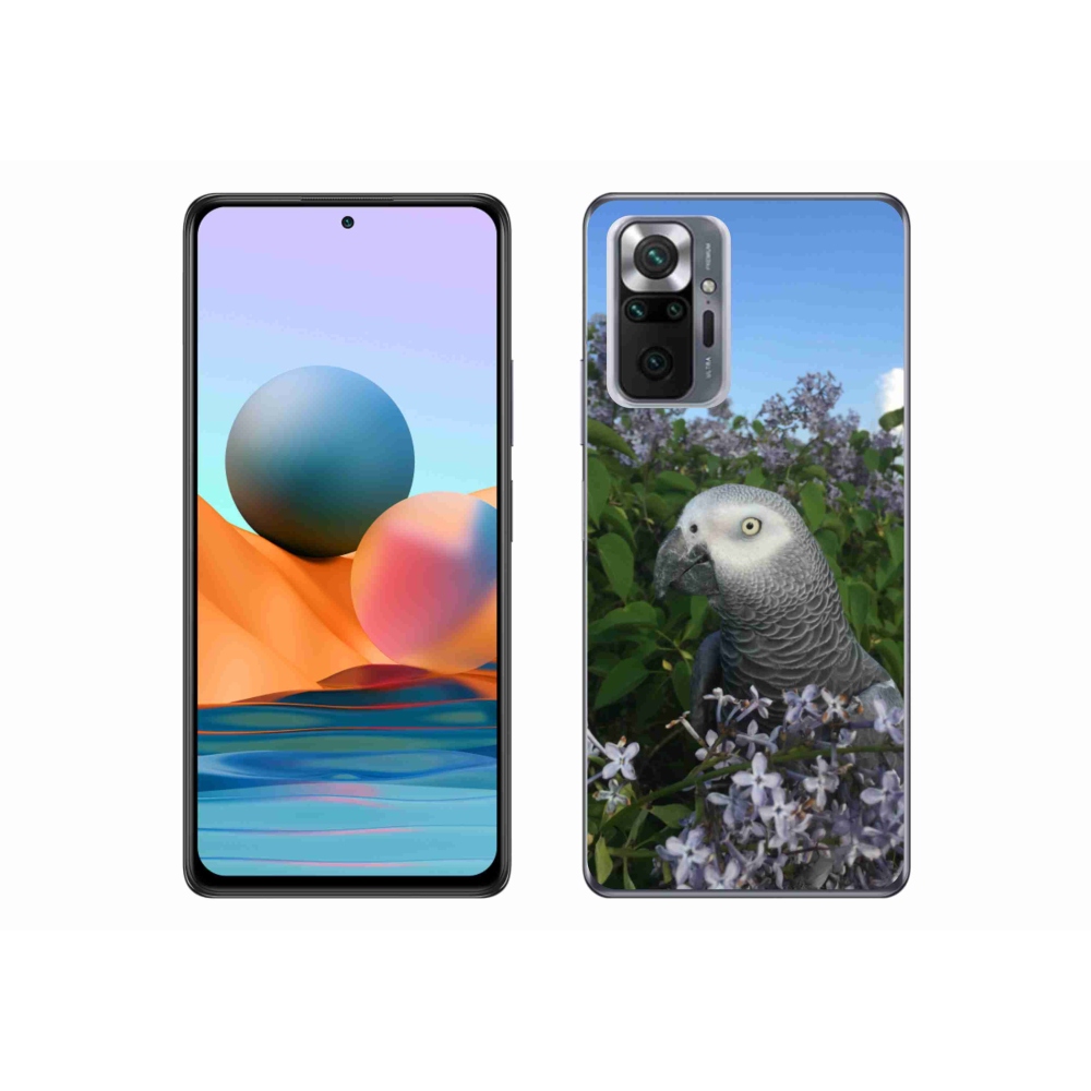 Gél borítás mmCase a Xiaomi Redmi Note 10 Pro készülékhez - papagáj jacco
