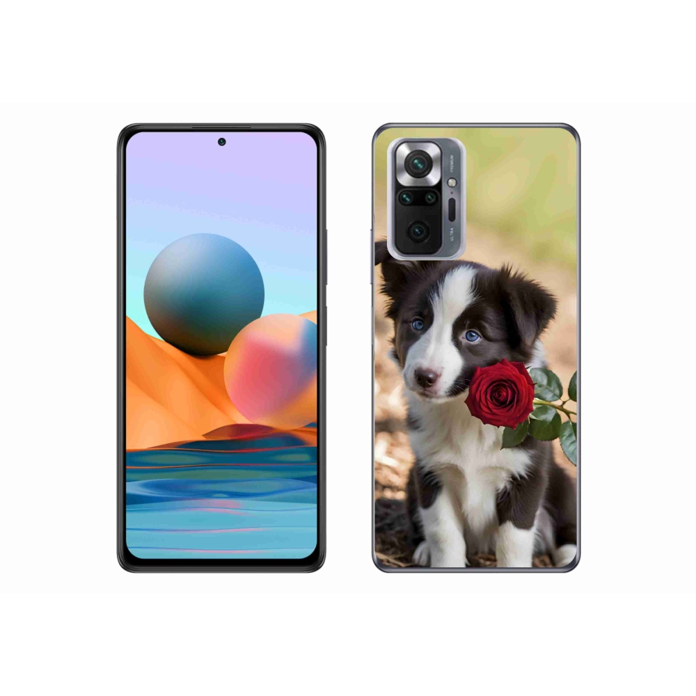 Gél borítás mmCase a Xiaomi Redmi Note 10 Pro számára - aranyos border collie rózsával