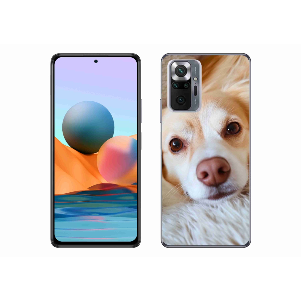 Gél borítás mmCase a Xiaomi Redmi Note 10 Pro készülékhez - Aranyos csivava