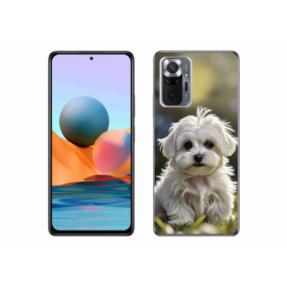 Gél borítás mmCase a Xiaomi Redmi Note 10 Pro számára - aranyos máltai kutya