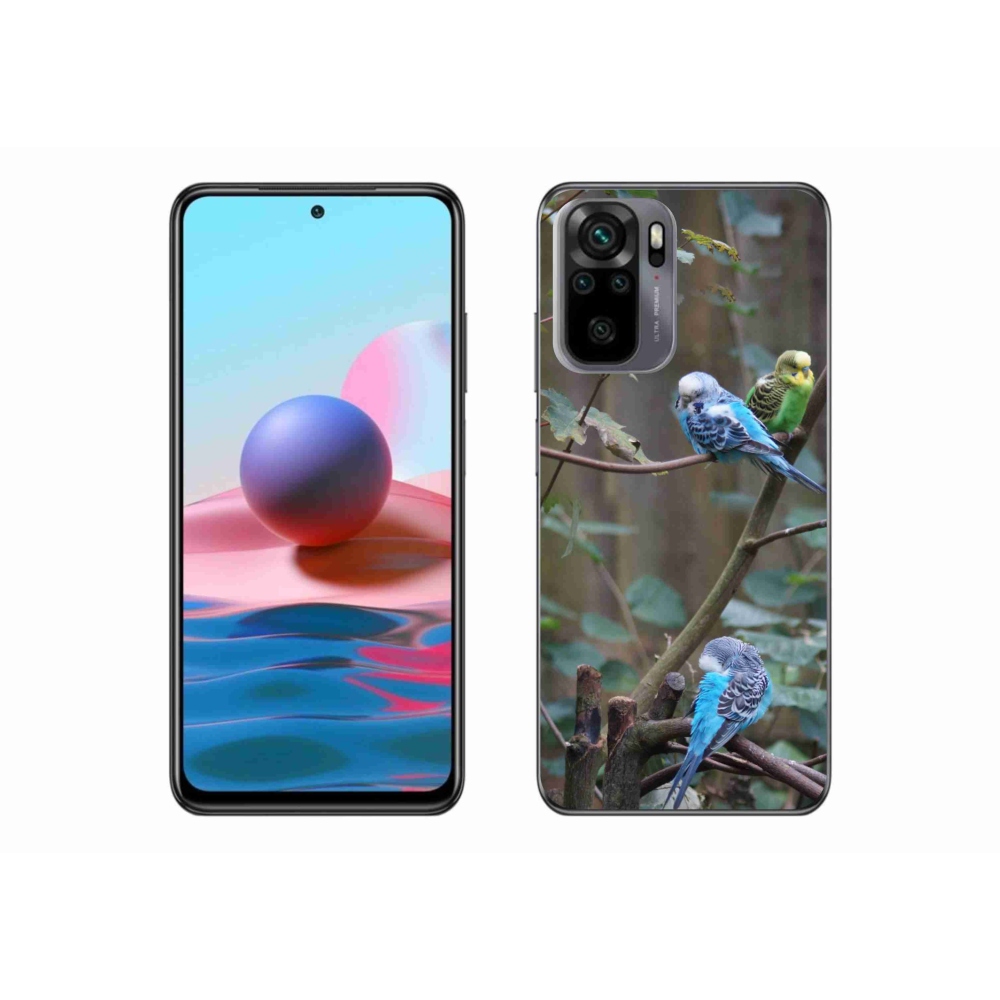 Gél borító mmCase a Xiaomi Redmi Note 10S-hez - papagájok az ágon