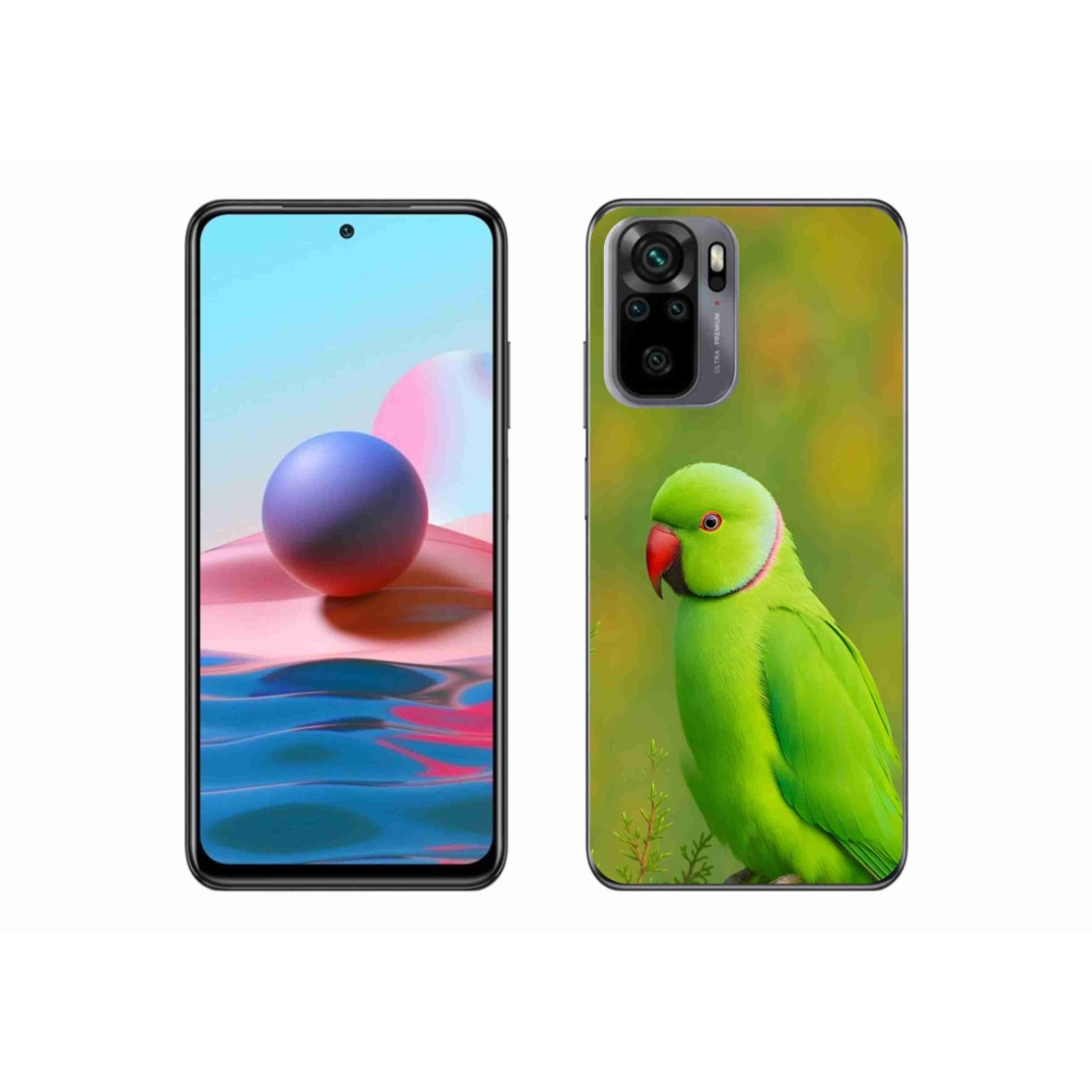Gél borítás mmCase a Xiaomi Redmi Note 10S-hez - papagáj alexandr 2