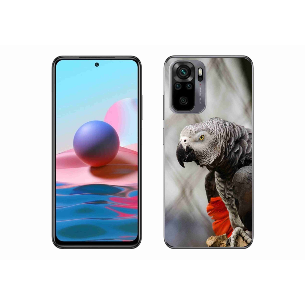 Gél borítás mmCase a Xiaomi Redmi Note 10S-hez - papagáj jacko 3