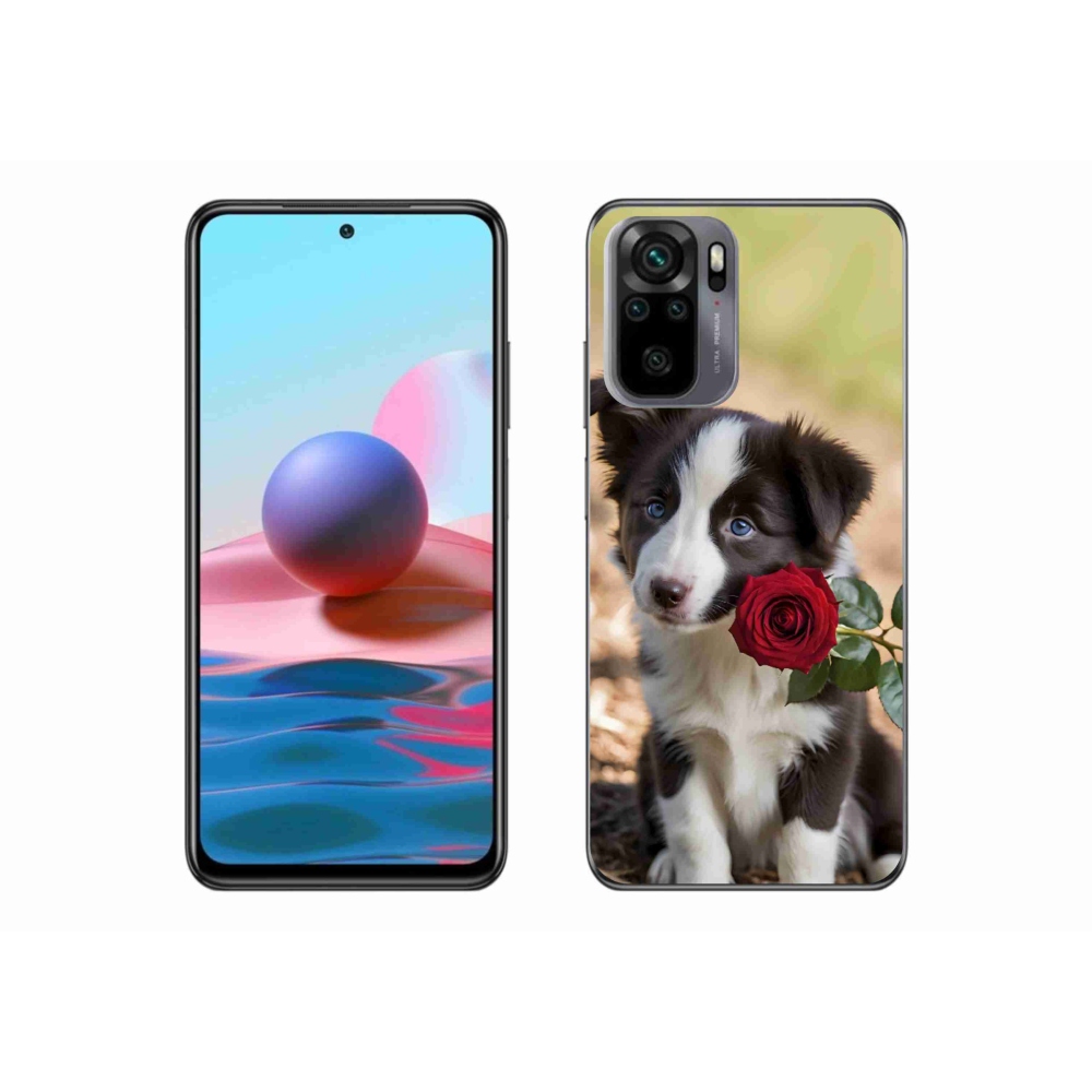 Gél borító mmCase a Xiaomi Redmi Note 10S-hez - aranyos border collie rózsával