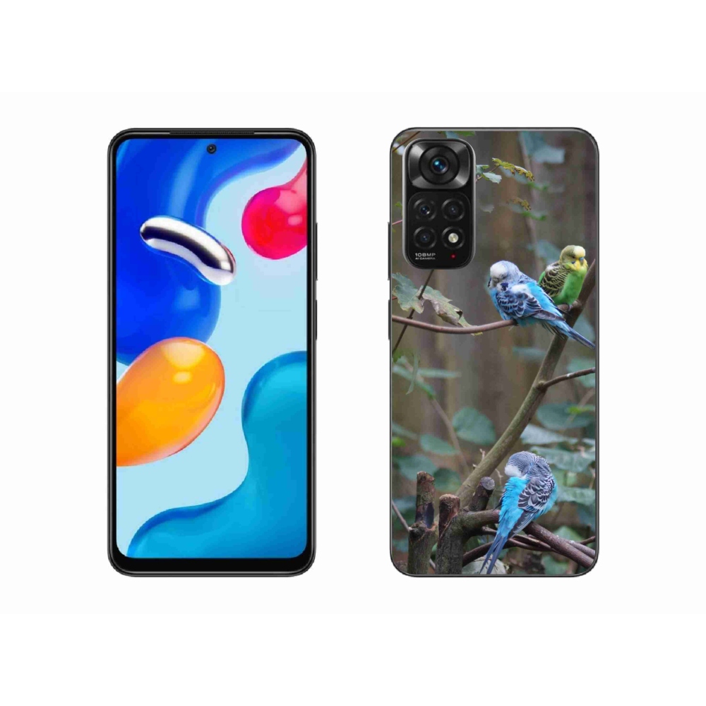 Gél borító mmCase a Xiaomi Redmi Note 11 4G-hez - papagájok az ágon