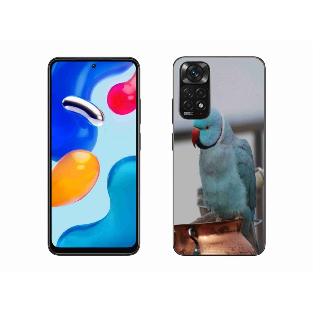 Gél borítás mmCase a Xiaomi Redmi Note 11 4G-hez - papagáj alexander kék