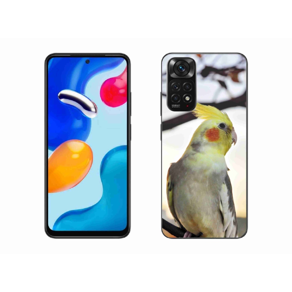Gél borítás mmCase a Xiaomi Redmi Note 11 4G-hez - papagáj korela