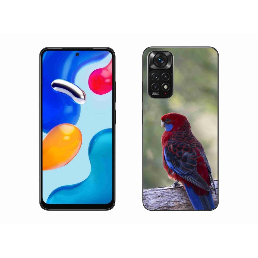Gél borítás mmCase a Xiaomi Redmi Note 11 4G-hez - papagáj rosela