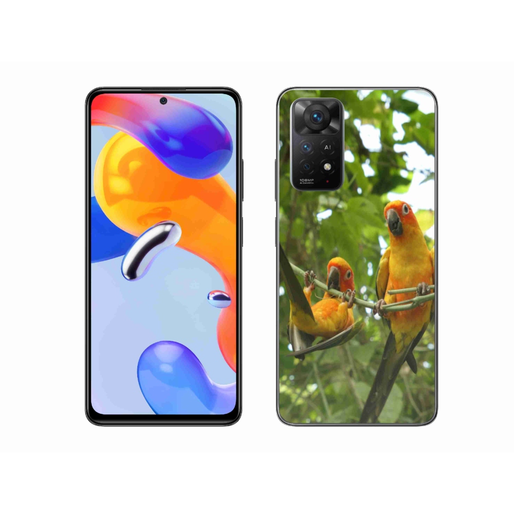 Gél borítás mmCase a Xiaomi Redmi Note 11 Pro 4G/5G számára - papagájok aratingy