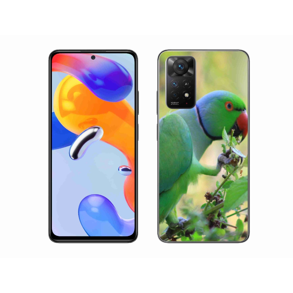 Gél borítás mmCase a Xiaomi Redmi Note 11 Pro 4G/5G-hez - papagáj alexandr