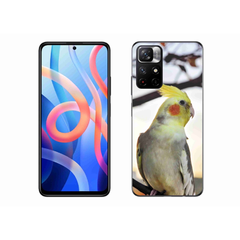 Gél borítás mmCase a Xiaomi Redmi Note 11S 5G-hez - papagáj korela