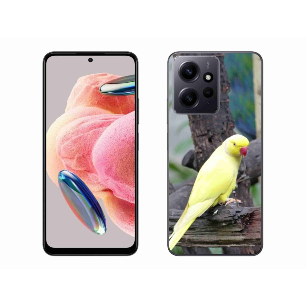 Gél borítás mmCase a Xiaomi Redmi Note 12 4G készülékhez - papagáj alexander sárga