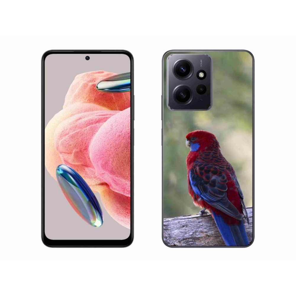 Gél borítás mmCase a Xiaomi Redmi Note 12 4G-hez - papagáj rosela