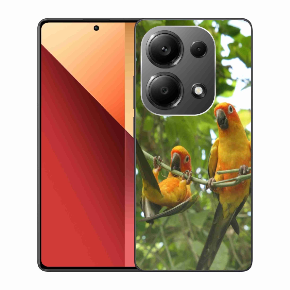 Gél borítás mmCase a Xiaomi Redmi Note 13 Pro 4G/Poco M6 Pro számára - papagájok aratingy