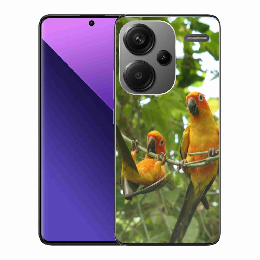Gél borítás mmCase a Xiaomi Redmi Note 13 Pro+ 5G számára - papagájok aratingy