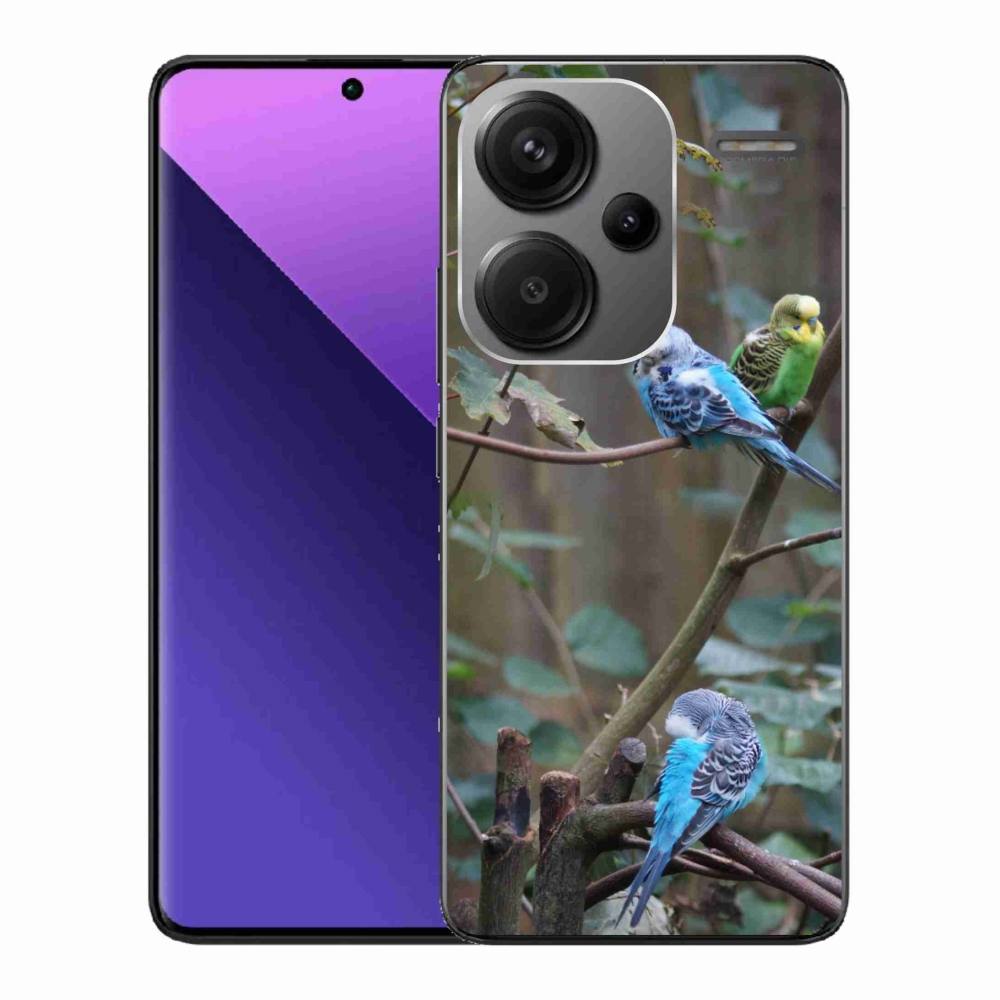Gél borító mmCase a Xiaomi Redmi Note 13 Pro+ 5G számára - papagájok az ágon