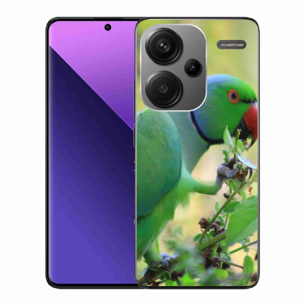 Gél borítás mmCase a Xiaomi Redmi Note 13 Pro+ 5G számára - papagáj alexandr