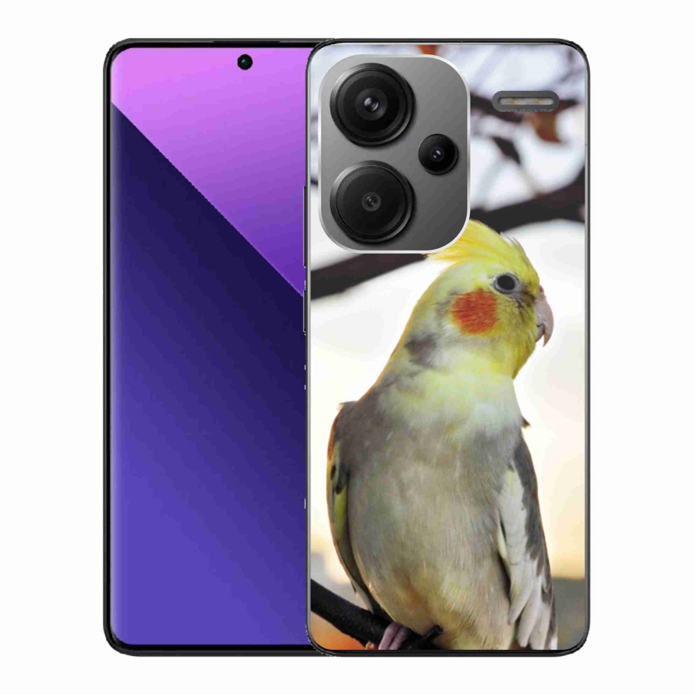 Gél borítás mmCase a Xiaomi Redmi Note 13 Pro+ 5G számára - papagáj korela