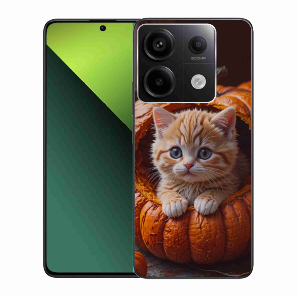 Gél borítás mmCase a Xiaomi Redmi Note 13 Pro 5G/Poco X6 5G számára - cica és tök 2