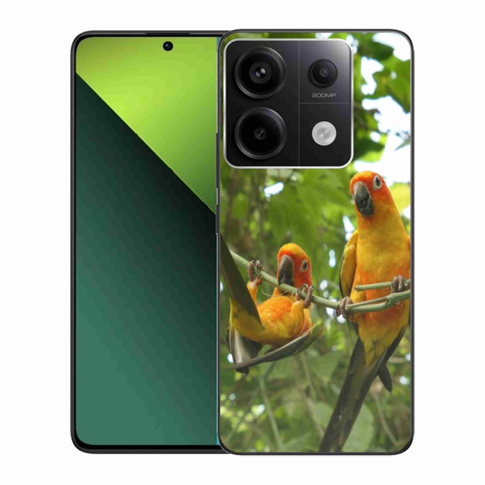 Gél borítás mmCase a Xiaomi Redmi Note 13 Pro 5G/Poco X6 5G számára - papagájok aratingy