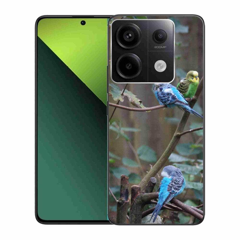 Gél borítás mmCase a Xiaomi Redmi Note 13 Pro 5G/Poco X6 5G számára - papagájok az ágon