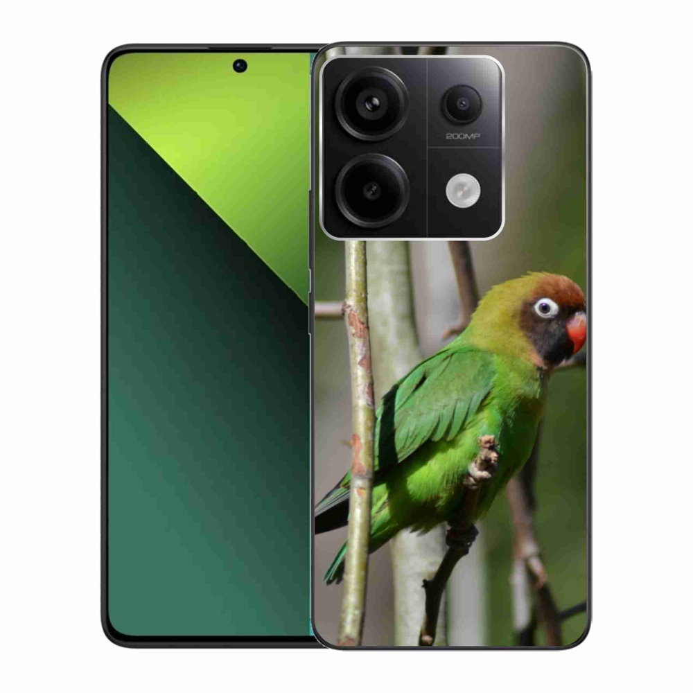Zselés borítás mmCase a Xiaomi Redmi Note 13 Pro 5G/Poco X6 5G - papagáj agaPronishoz