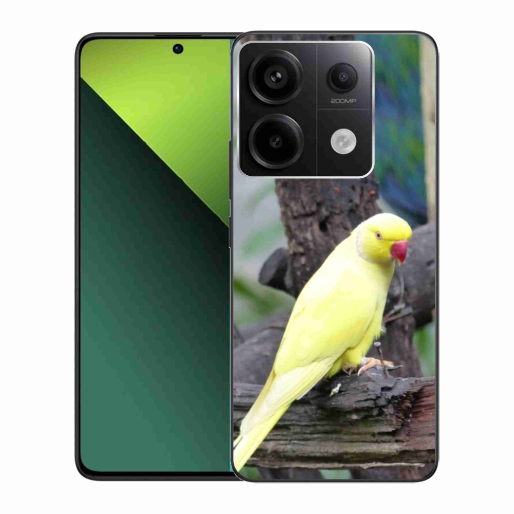 Gél borítás mmCase a Xiaomi Redmi Note 13 Pro 5G/Poco X6 5G számára - papagáj alexander sárga