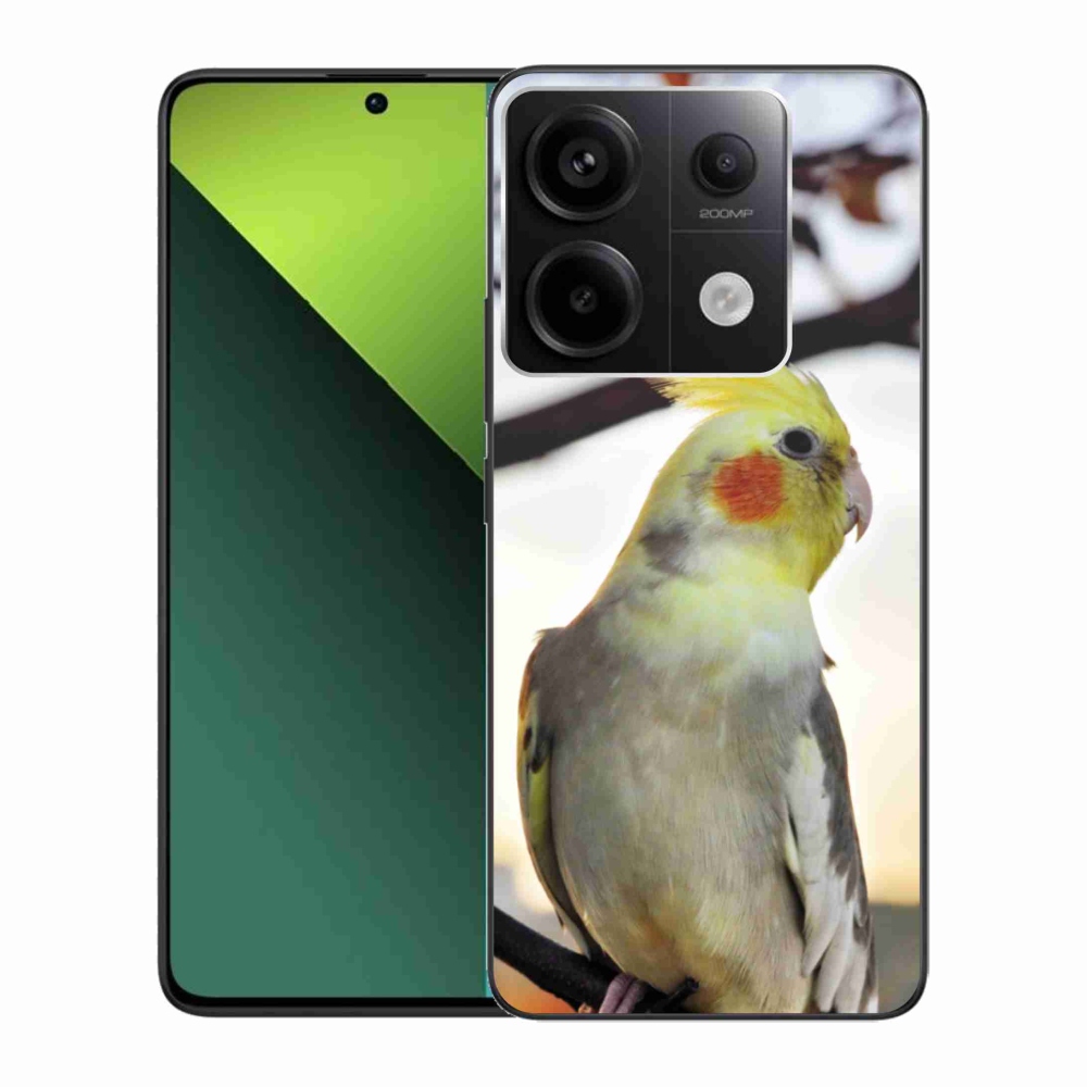 Gél borítás mmCase a Xiaomi Redmi Note 13 Pro 5G/Poco X6 5G számára - papagáj korela