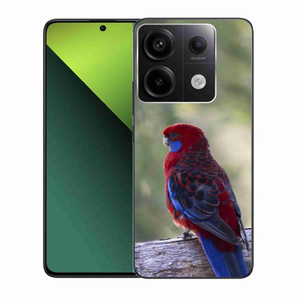 Gél borítás mmCase a Xiaomi Redmi Note 13 Pro 5G/Poco X6 5G számára - papagáj rózsa