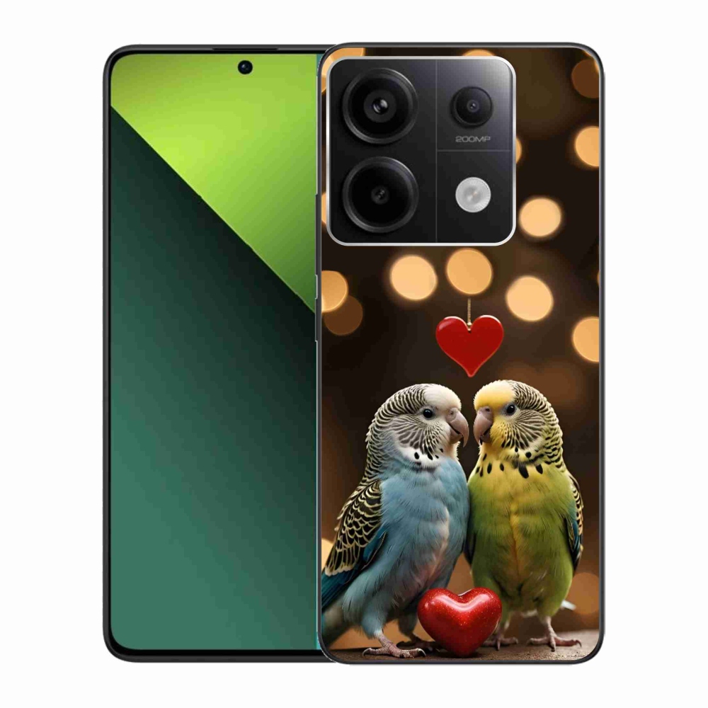 Gél borítás mmCase a Xiaomi Redmi Note 13 Pro 5G/Poco X6 5G számára - szerelmes papagájok