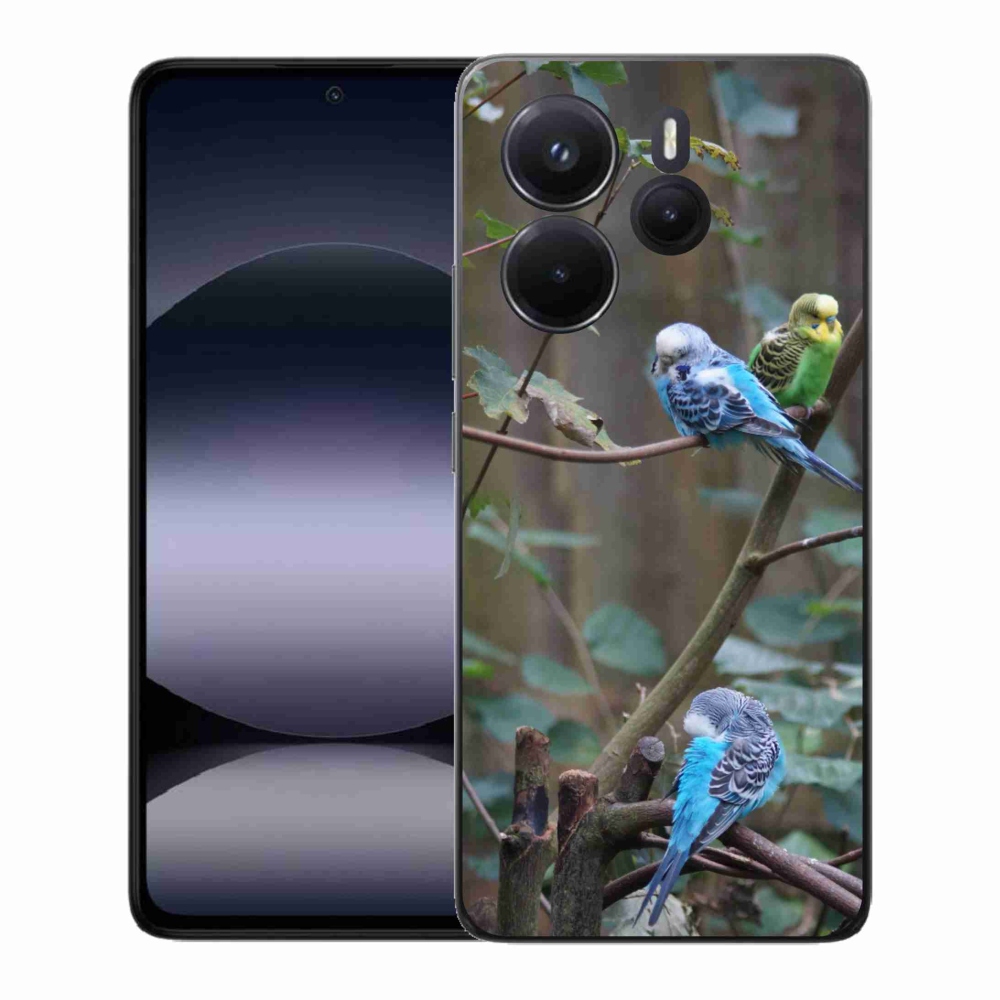 Gél borító mmCase a Xiaomi Redmi Note 14-hez - papagájok az ágon