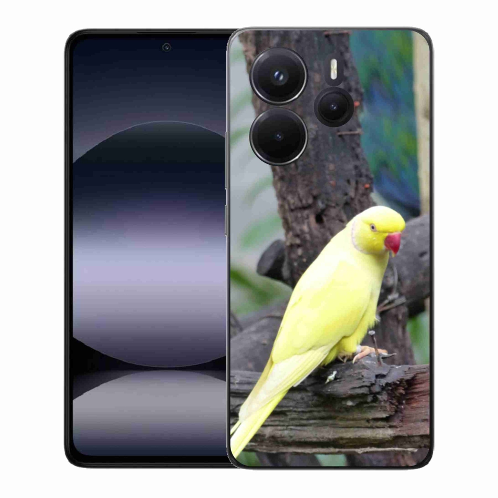 Gél borítás mmCase a Xiaomi Redmi Note 14 készülékhez - papagáj alexander sárga