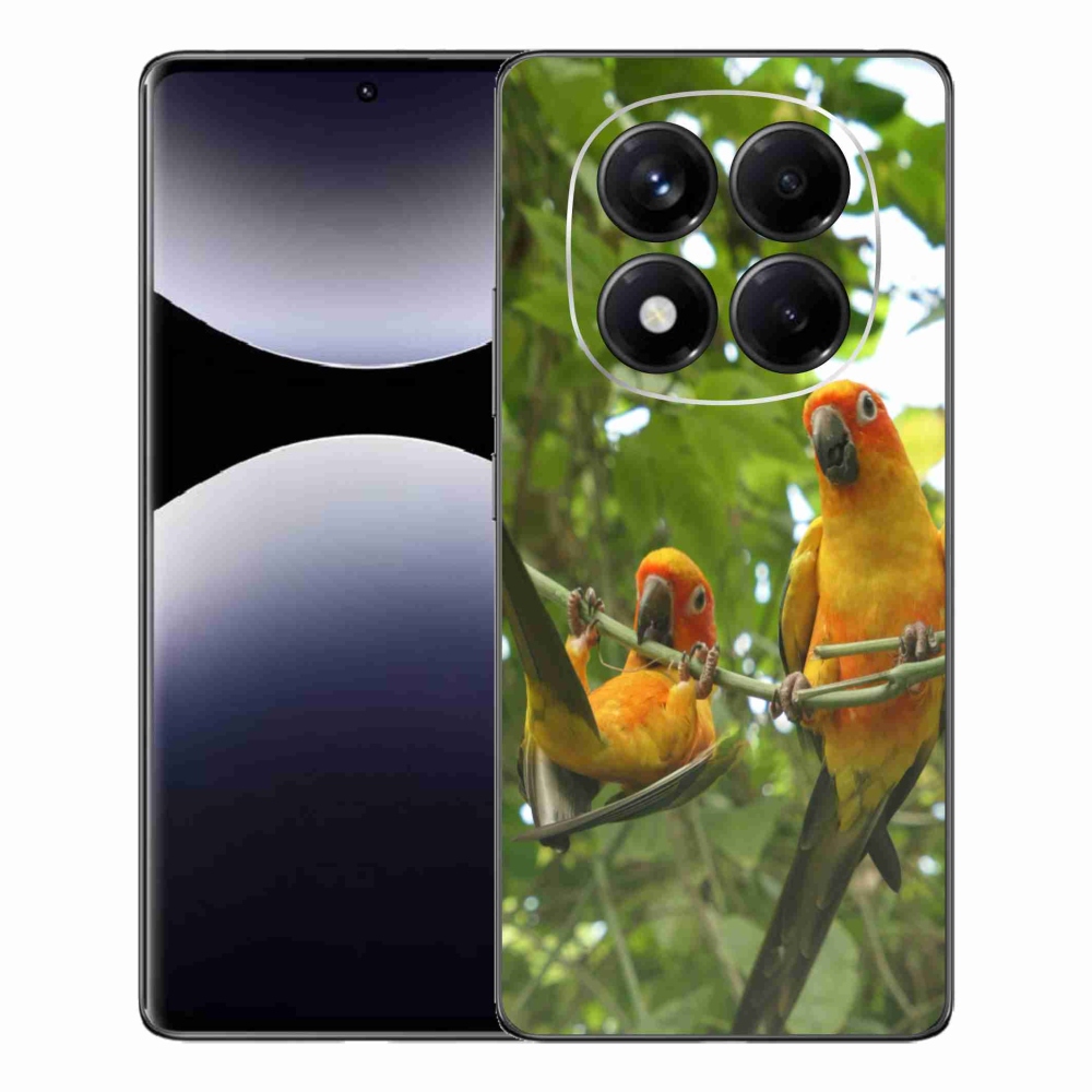 Gél borítás mmCase a Xiaomi Redmi Note 14 Pro számára - papagájok aratingy