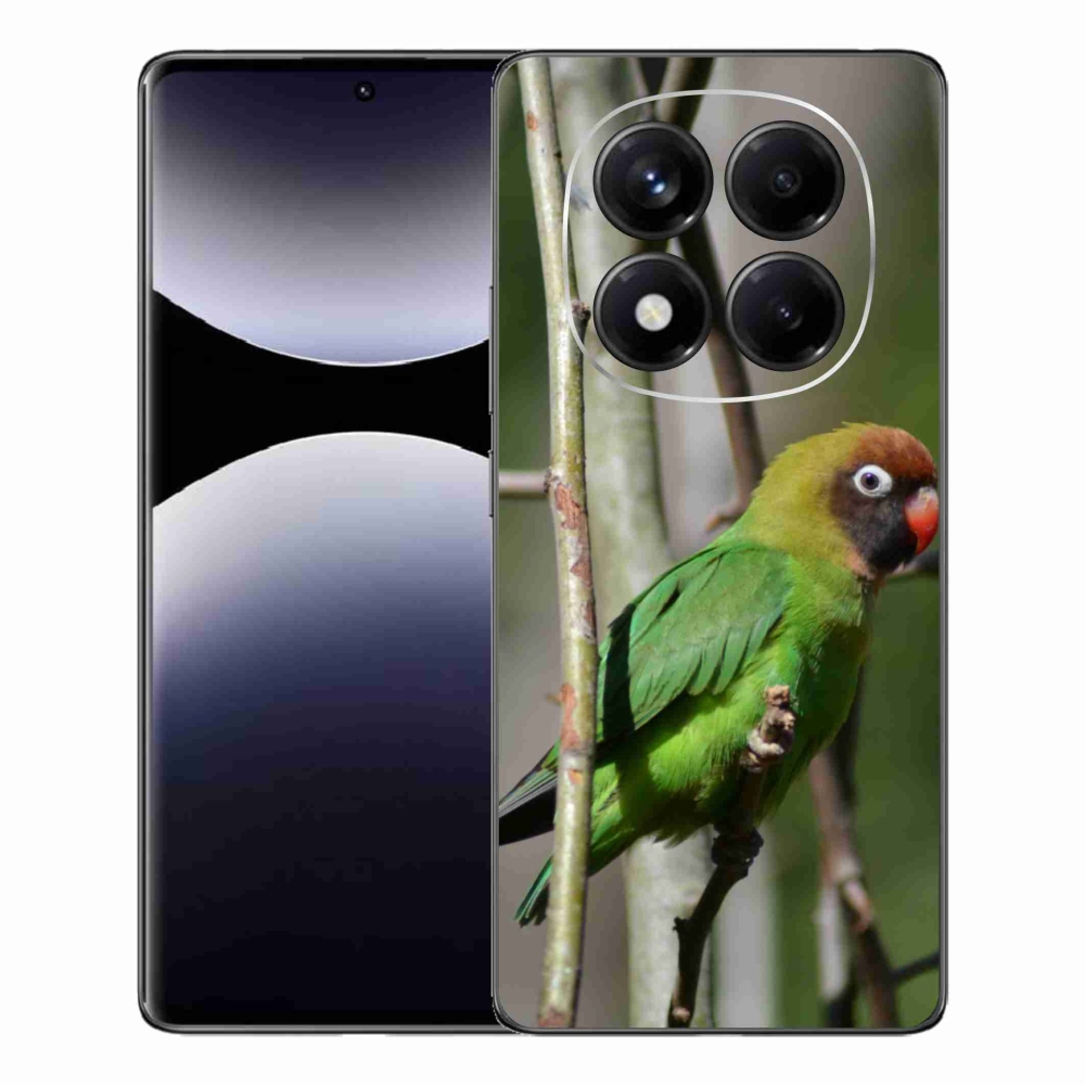 Gél borítás mmCase a Xiaomi Redmi Note 14 Pro számára - papagáj agapornis