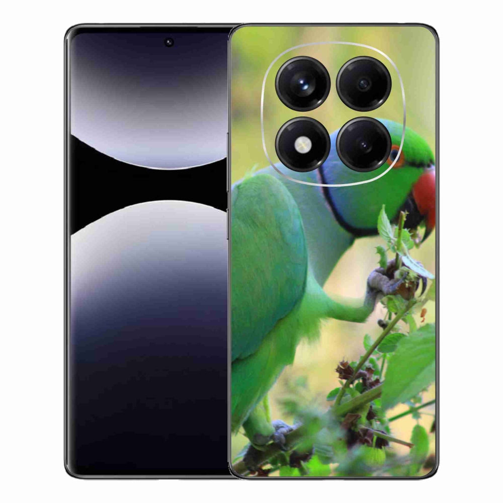 Gél borítás mmCase a Xiaomi Redmi Note 14 Pro készülékhez - papagáj alexandr