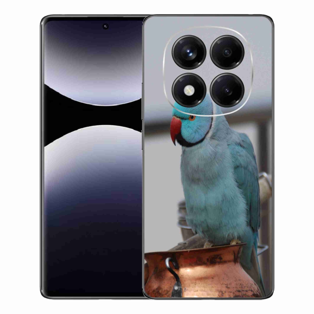 Gél borítás mmCase a Xiaomi Redmi Note 14 Pro készülékhez - papagáj alexander kék