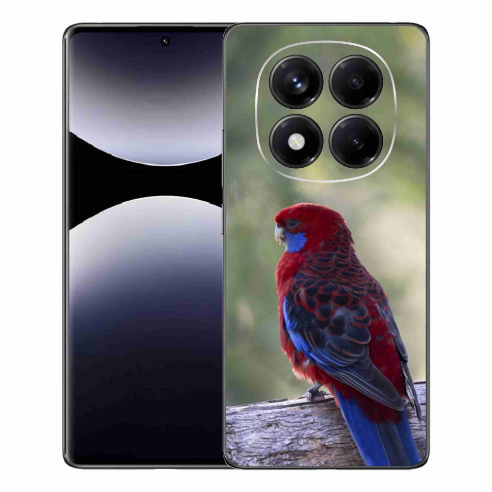 Gél borítás mmCase a Xiaomi Redmi Note 14 Pro készülékhez - papagáj rózsa