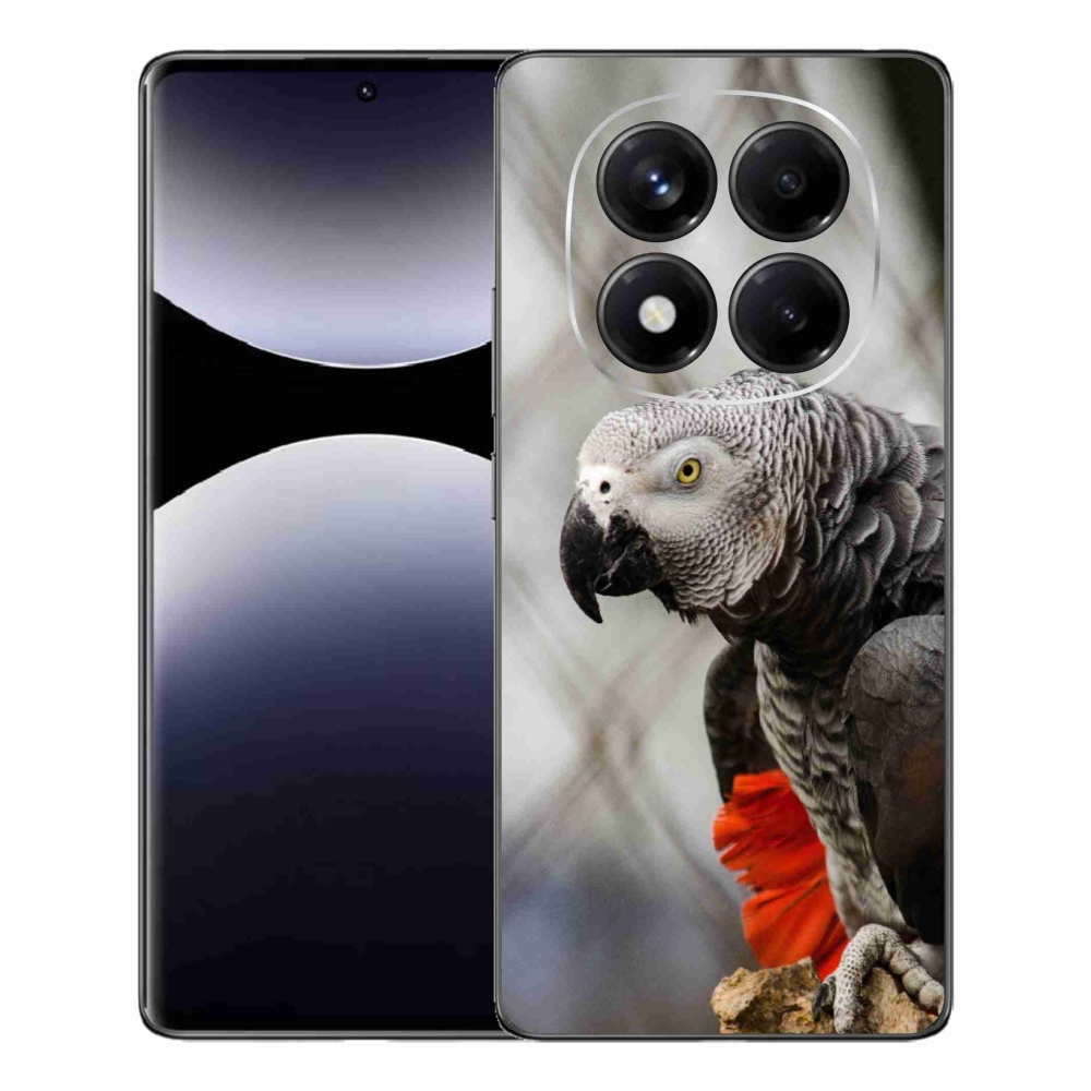 Gél borítás mmCase a Xiaomi Redmi Note 14 Pro számára - papagáj jacko 3