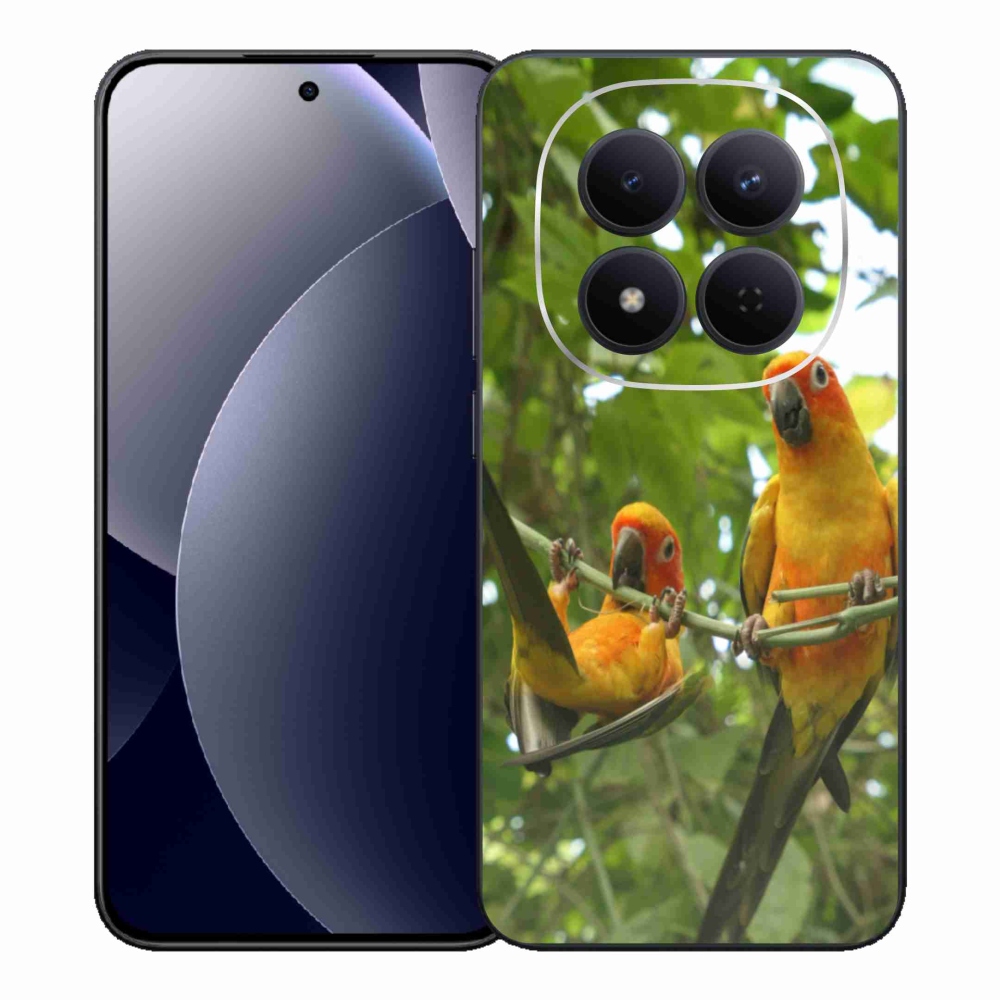 Gél borítás mmCase a Xiaomi Redmi Note 15 Pro 5G számára - papagájok aratingy