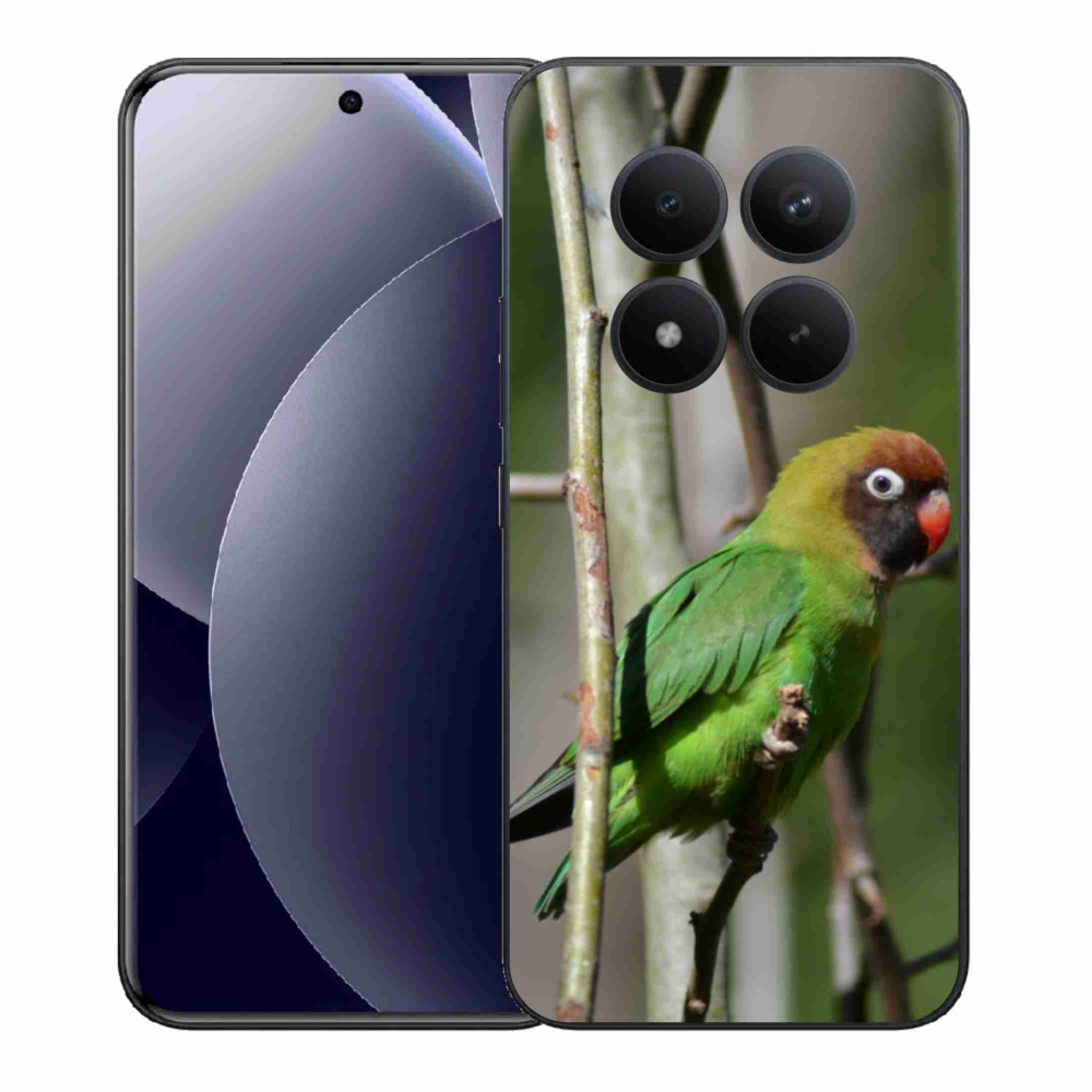 Gél borítás mmCase a Xiaomi Redmi Note 15 Pro+ 5G/Xiaomi Poco M8 Pro 5G - papagáj agapornishoz