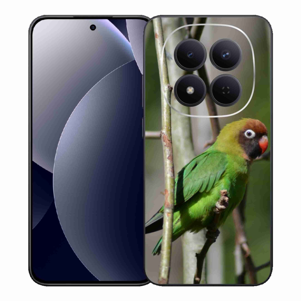 Gél borítás mmCase a Xiaomi Redmi Note 15 Pro 5G számára - papagáj agapornis