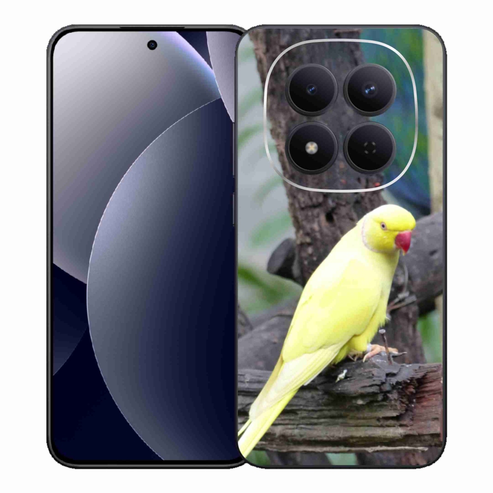 Gél borítás mmCase a Xiaomi Redmi Note 15 Pro 5G-hez - papagáj alexander sárga