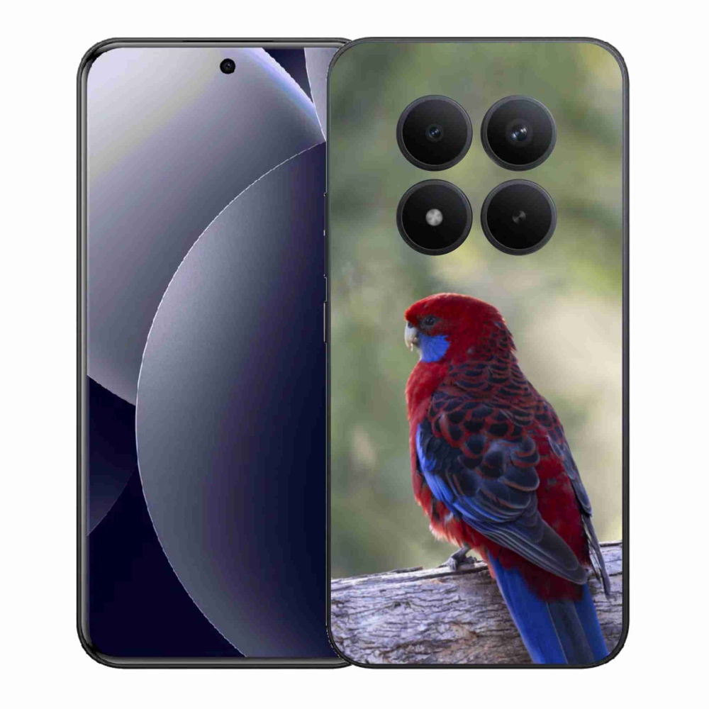 Gél borítás mmCase a Xiaomi Redmi Note 15 Pro+ 5G/Xiaomi Poco M8 Pro 5G számára - papagáj rózsa